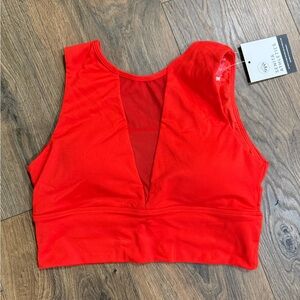 Senita Athletics Red Sports Bra